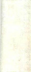 image four